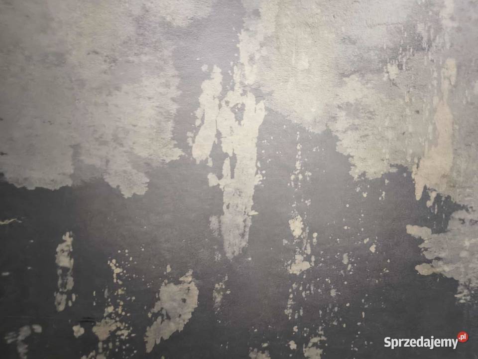 Płytki Łupek Indian Autumn Naturalny 60x40x12 Płytki i fugi pomorskie Rumia sprzedam