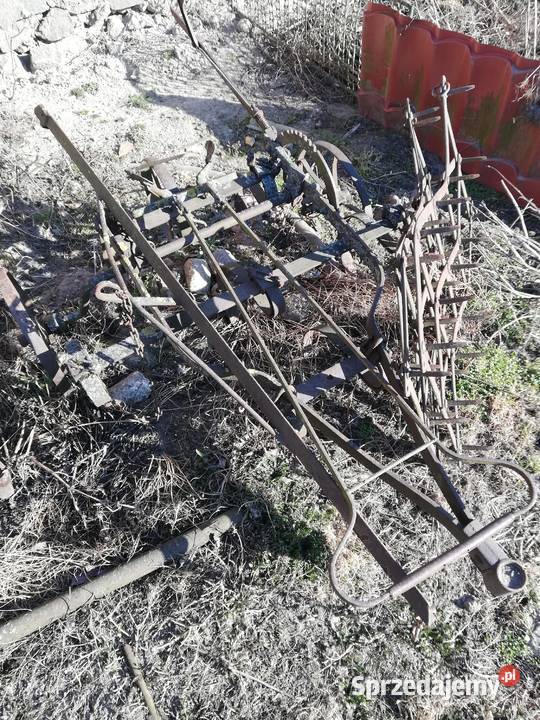 Kremer konny wielkopolskie Trzemeszno