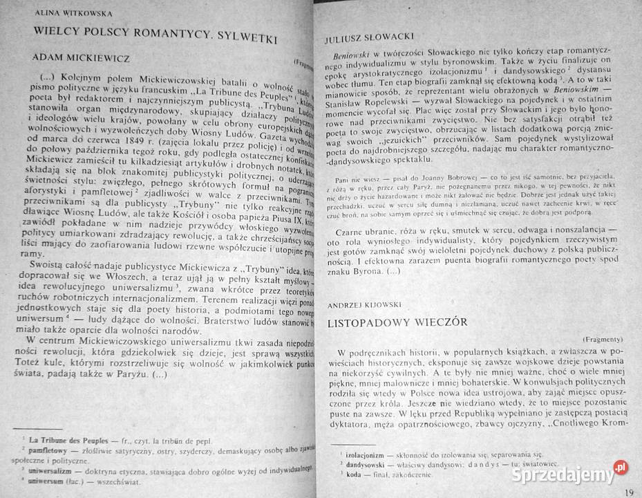 Literatura kl 2 szkół średnich Testy Rok wydania 1988 Książki i Podręczniki Chełm