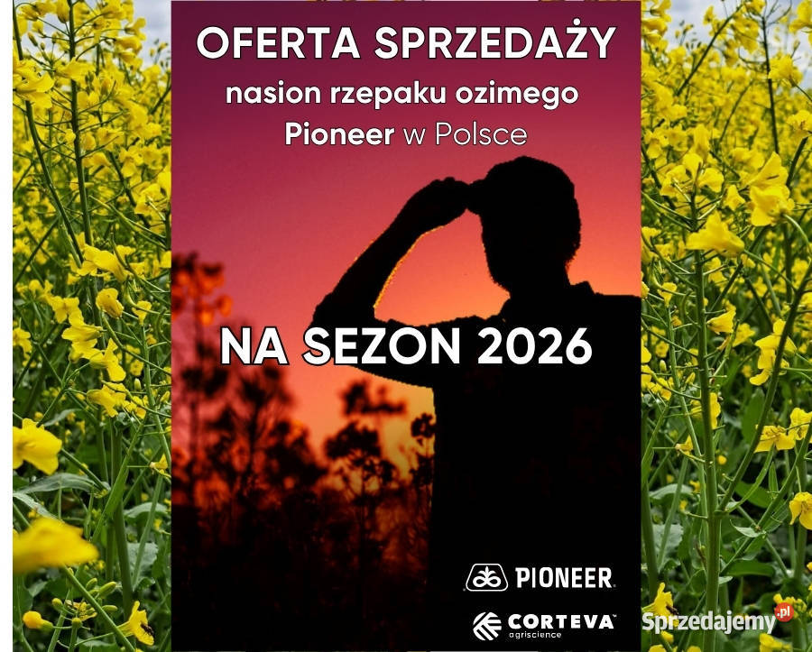 Nasiona rzepaku Pioneer PT312
