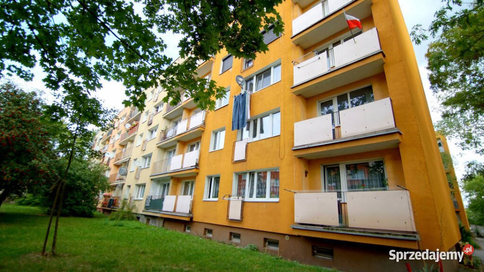 Sprzedaż mieszk2pok43 m2niski blok śródmieście oddzielna kuchnia Opole