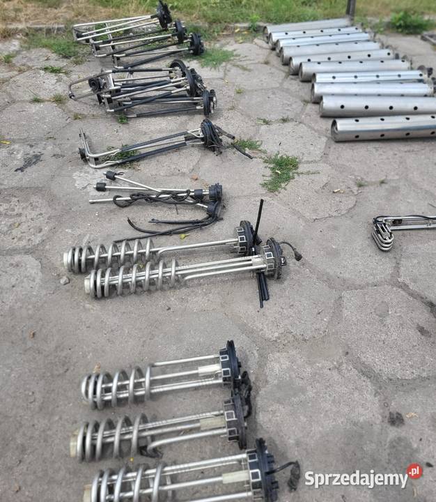 21073825 350450 Smok Plywak Czujnik Grzalka świętokrzyskie Zawichost