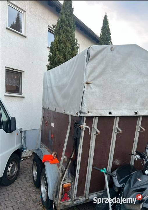 Przyczepa do przewozu koni zwierząt Leszno