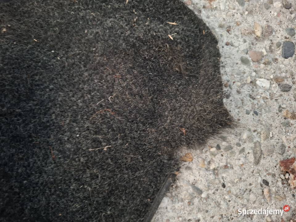 Wykładzina dywanowa kabiny dywany Fiat 126p osobowe Strzelce Opolskie