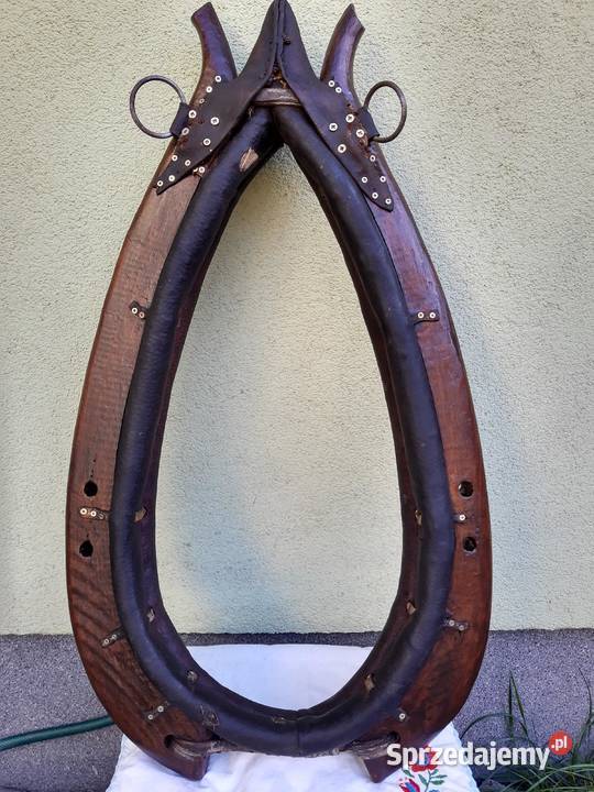 Zadbane chomąto krakowskie z podkładem Sułków