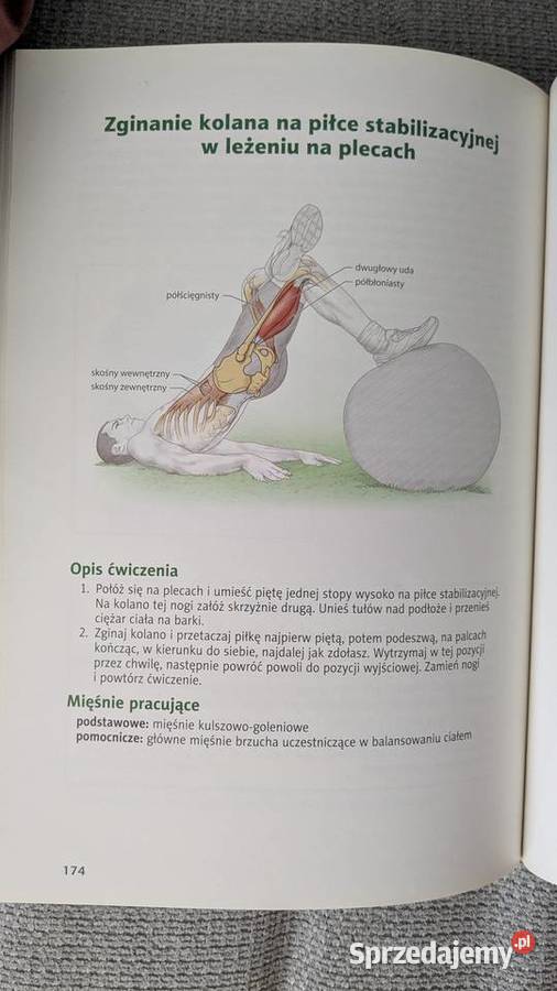 Anatomia w piłce nożnej sport zachodniopomorskie