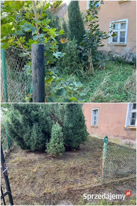 Sprzątanie działek wywóz śmiecizłomu Gdynia