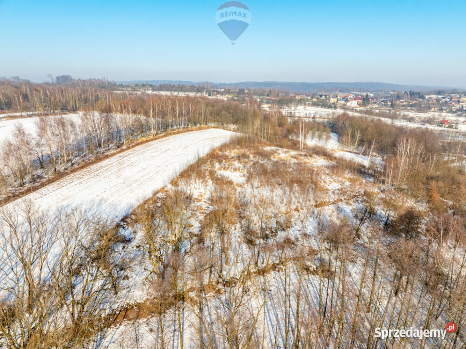 Rolna w urokliwej okolicy rolna Sprzedaż sprzedam