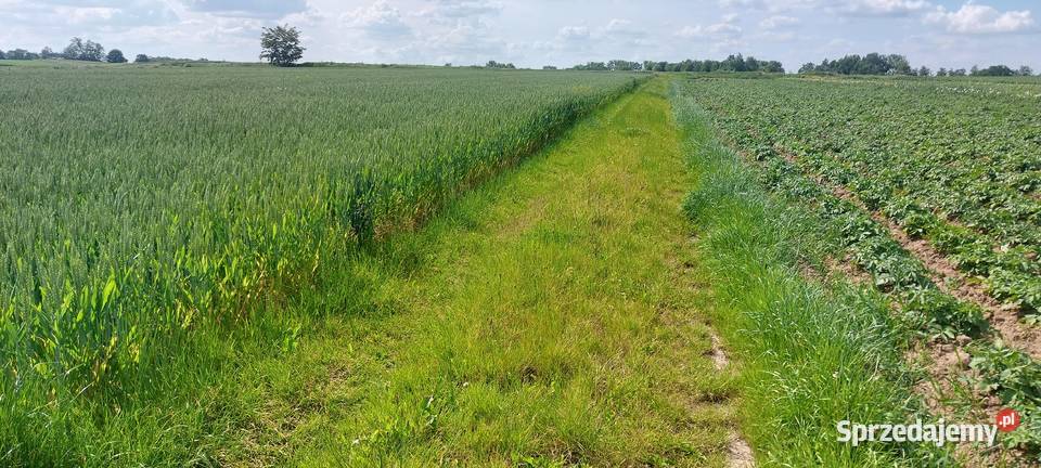 Działka rolna 63ar Kraków