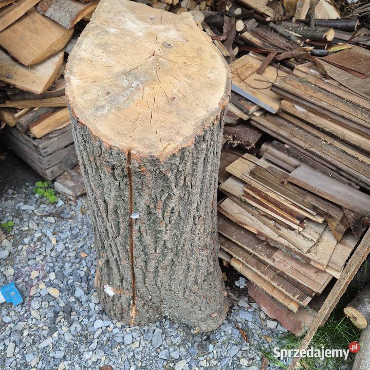 Lipa Orzech rzeźbiarza materiał Rękodzieło Rękodzieło Brzesko