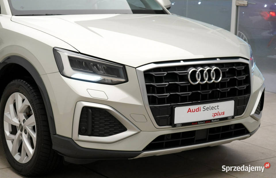 Audi Q2 30TFSI 116 Manual Led Kamera Tempomat 41292km Kielce