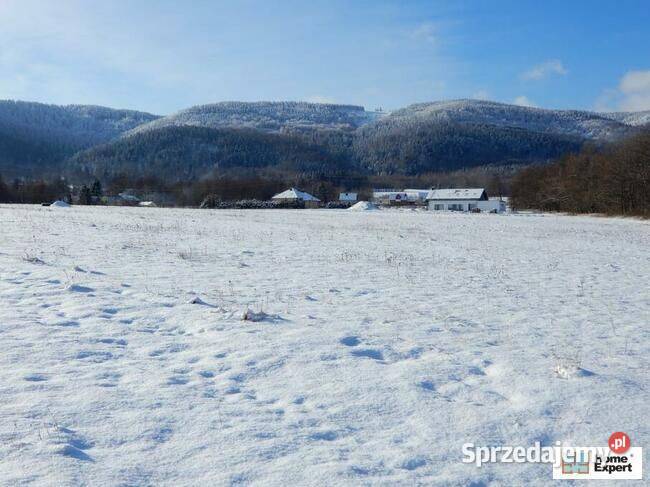 Działka 6000 m2 PolanicaZdrój