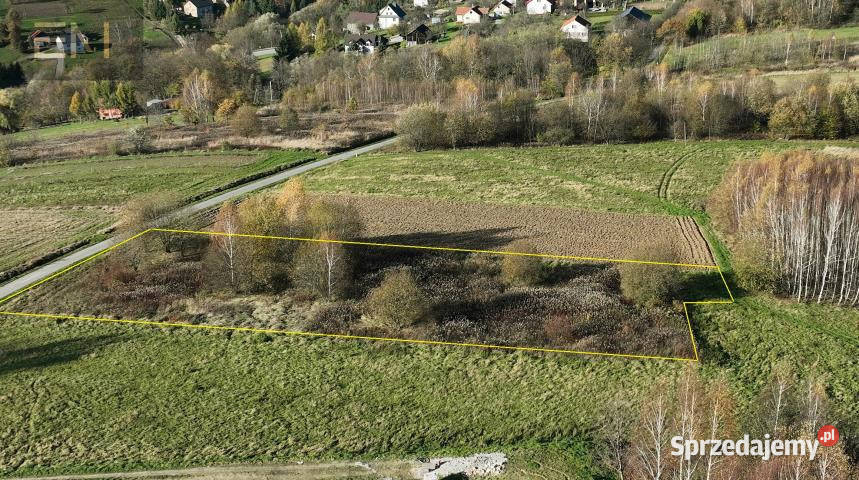 Grunt do sprzedania Niewodna 3000m2 Sprzedaż