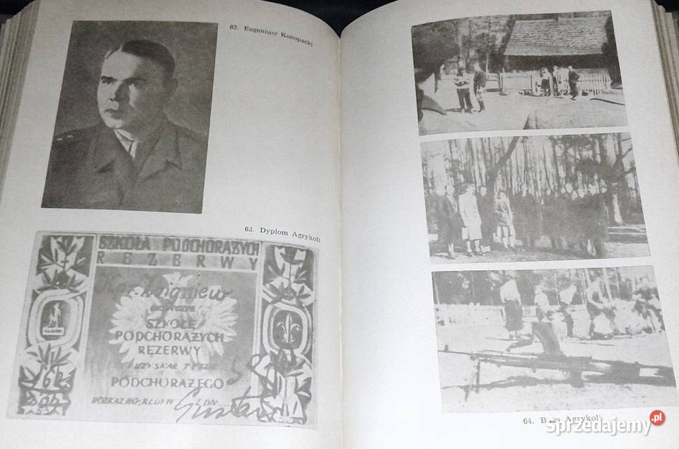 Całym życiem Szare Szeregi w relacji naczelnika twarda z obwolutą Chełm sprzedam