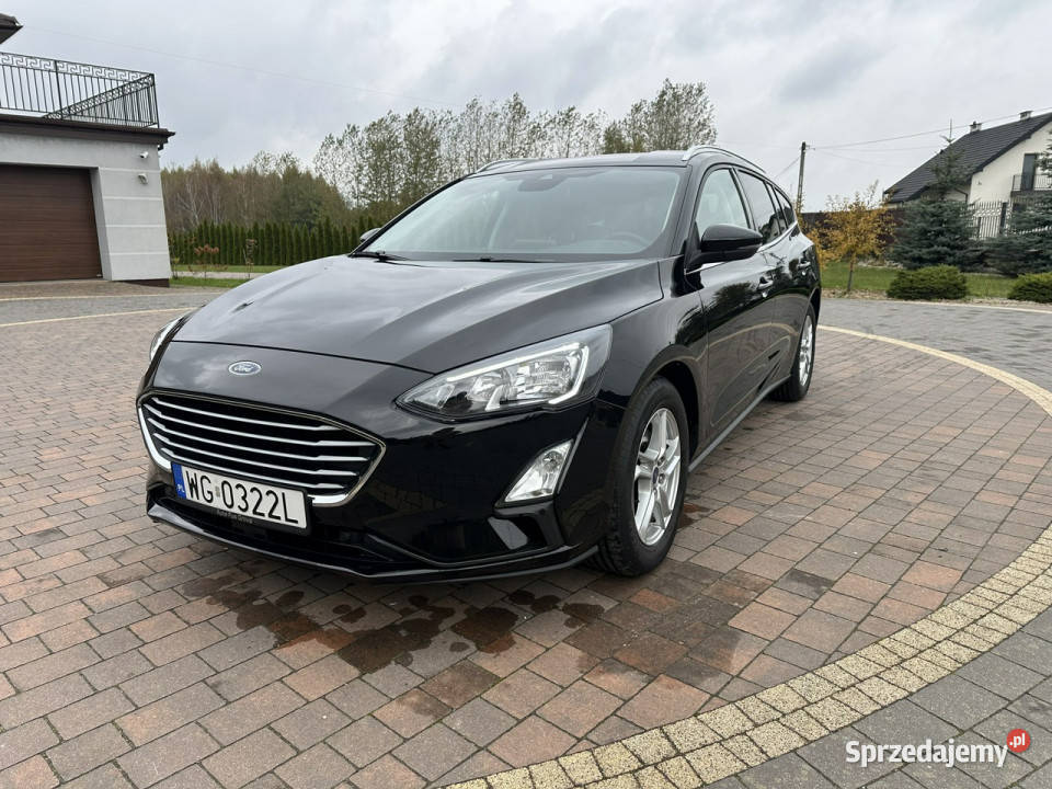 Ford Focus nowy Mk4 2018 Lipówki