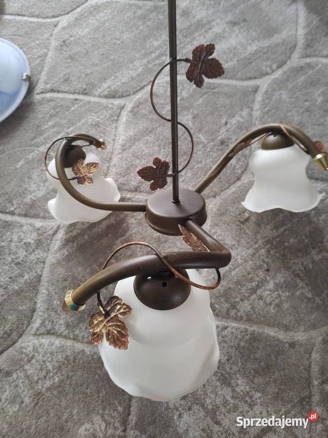Lampy wiszące Dębica