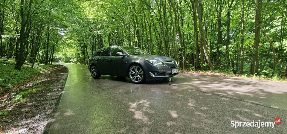 Opel Insignia 20 Ecoflex Zamość
