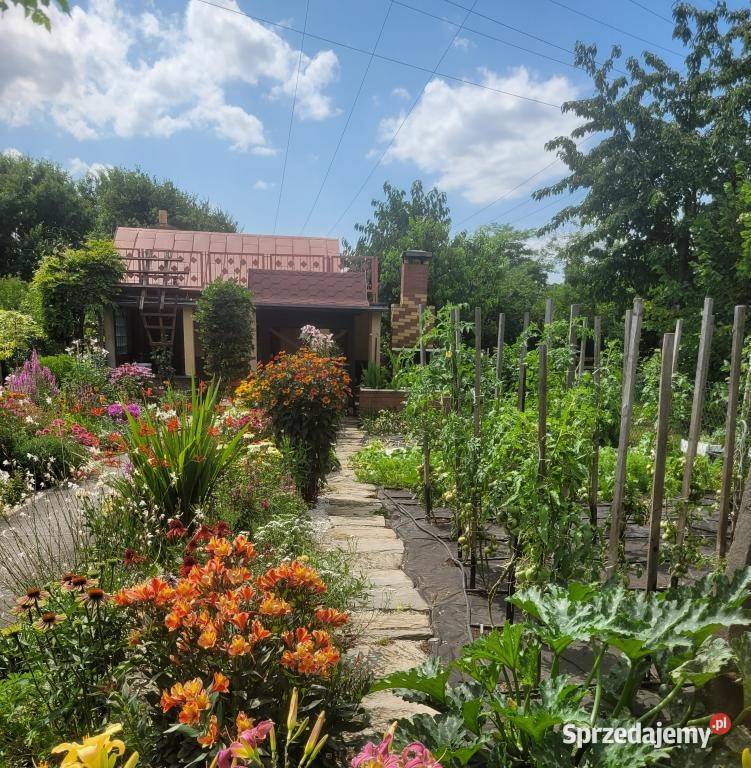 Działka rekreacyjna Wrocław