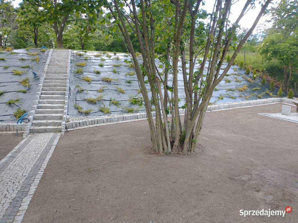 Zakładanie trawników równanie karczowanie ziemia Wrocław