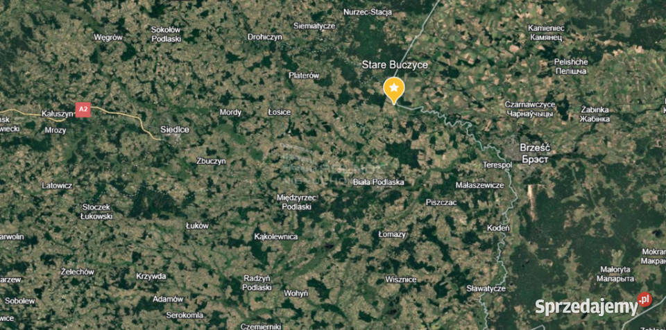 Działka 8818 m w Starych Buczycach Stare Buczyce sprzedam