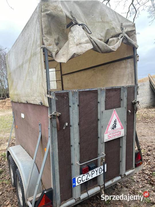 Przyczepa do przewozu koni Przyczepy i naczepy Przechlewo