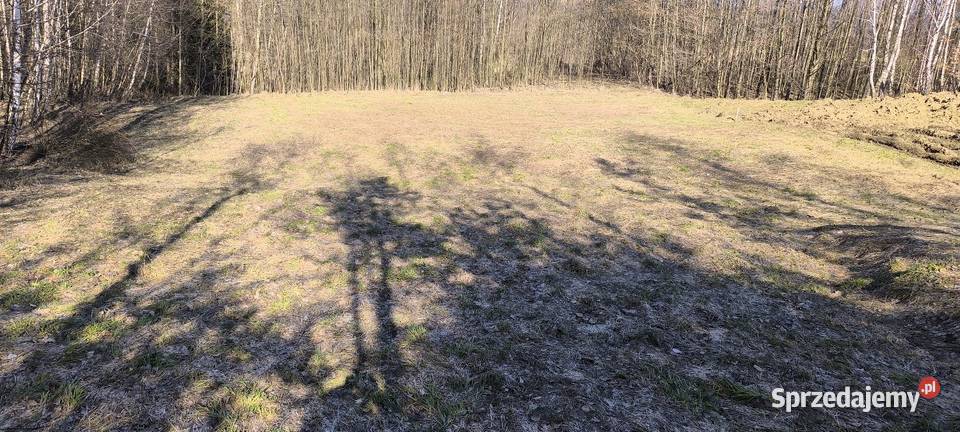 Działka rekreacyjnaw zaciszu 41arów podkarpackie Błażowa