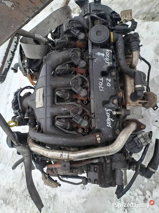 Ford Fokus C Kuga Volvo 20 TDCi 136 silnik Jastrzębie-Zdrój