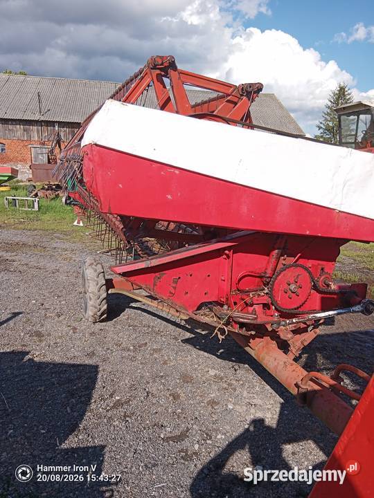 Bizon z056 nieuszkodzony Zbożowe Stary Dzierzgoń