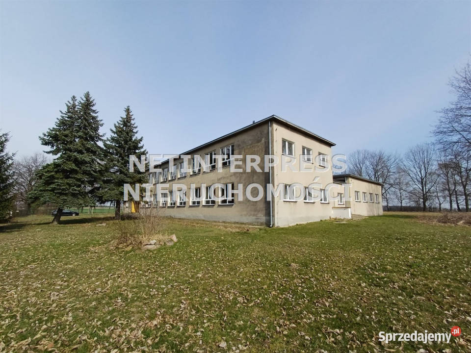 Lokal na sprzedaż 582 metry Domaszowice sprzedam