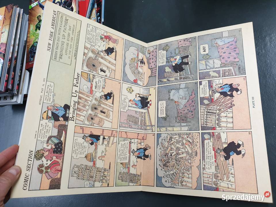 Art Spiegelman In the Shadow of No Towers 2004 twarda okładka  Gdynia