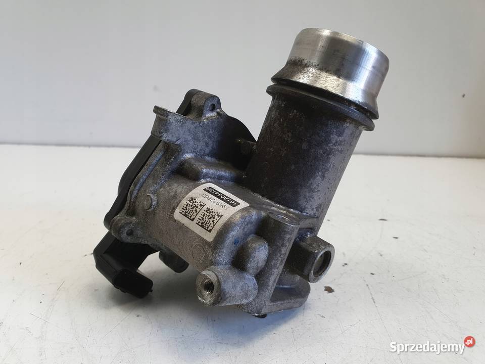 PRZEPUSTNICA Renault Megane IV 15 DCI 161A03415R