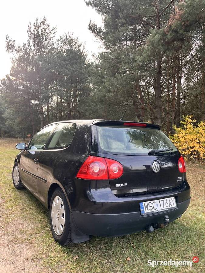 Volkswagen Golf V 19 TDI Blue Motion 2005 Sochaczew