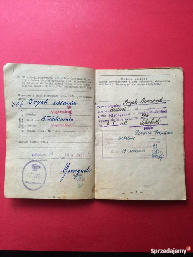 Dowód tożsamości konia zachodniopomorskie Szczecin