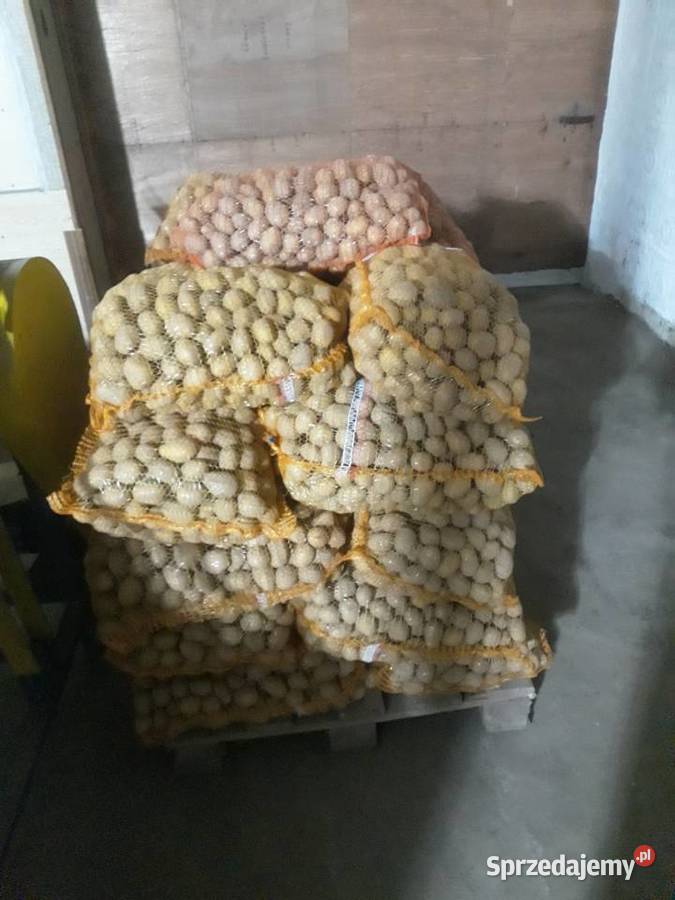 sprzedam ziemniaki Łęczyca