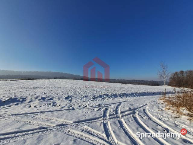 sprzedaży gruntu Żyznów 10400m2