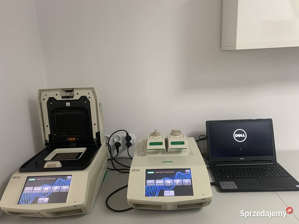 REAL TIME PCR Termocykler C1000 Touch BioRad Opole