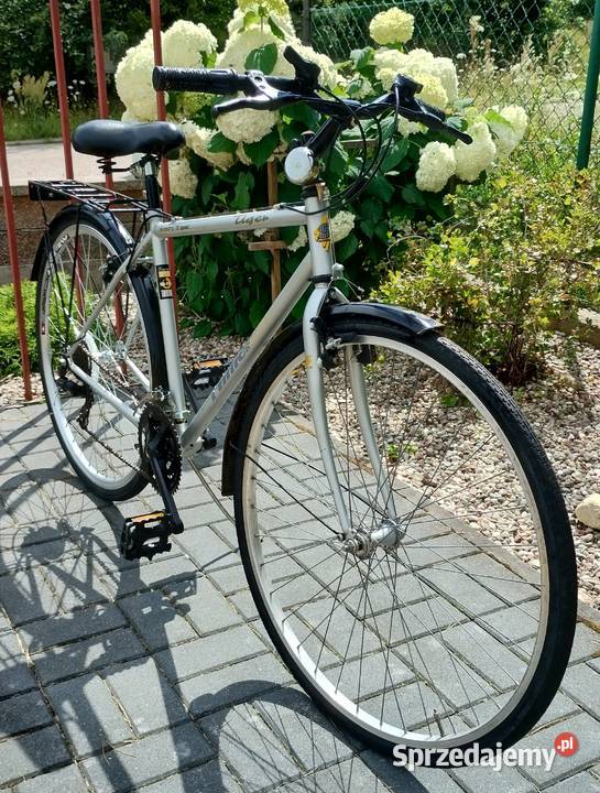 Rower Tiger Filmer Superior Shimano 18 Speed Dziemiany