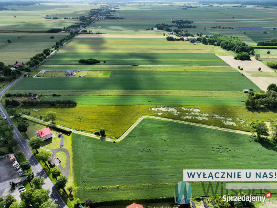 Działka Nowa Brzeźnica 16790m2