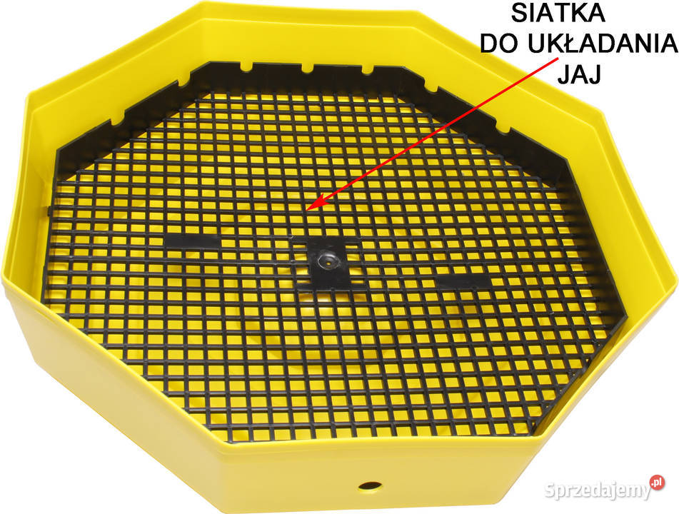 INKUBATOR CLEO 5 DTH 6041 JAJ WYLĘGARKA KLUJNIK podkarpackie Rzeszów