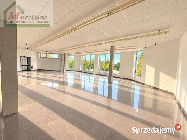 Lokal 36969m2 Jedlicze dojazd asfaltowy