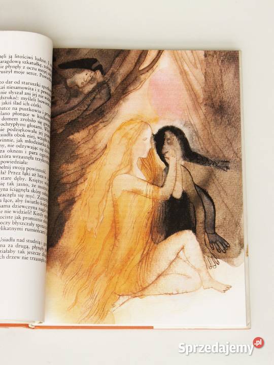 Wesele pani liszki Jakub i Wilhelm Grimm Książki dla dzieci