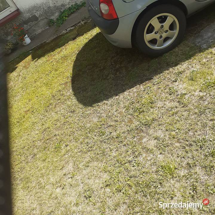 Renault Clio w Super stanie Częstochowa