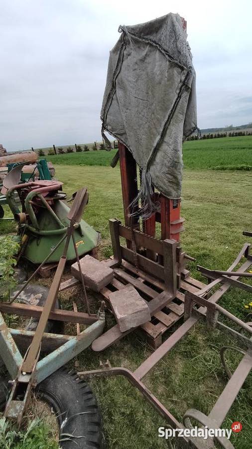 Rozsiewacz Amazone wielkopolskie Podgaje