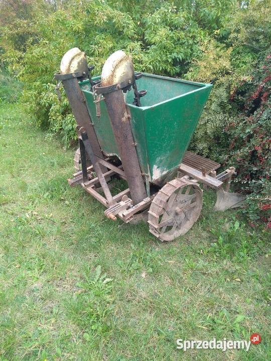 Kopaczka sadzarka Głowno