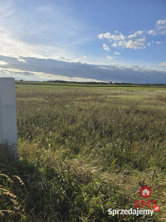 Sprzedaż działki 1700m2 Pajewo 1700m2 sprzedam