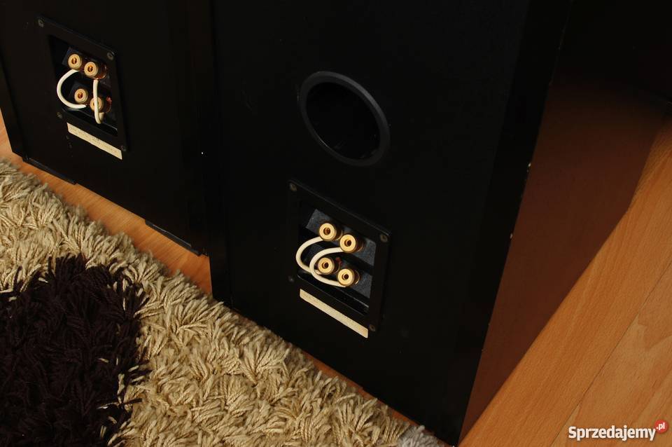 Kolumny Stereo Dali 850 Komis audio Myślenice