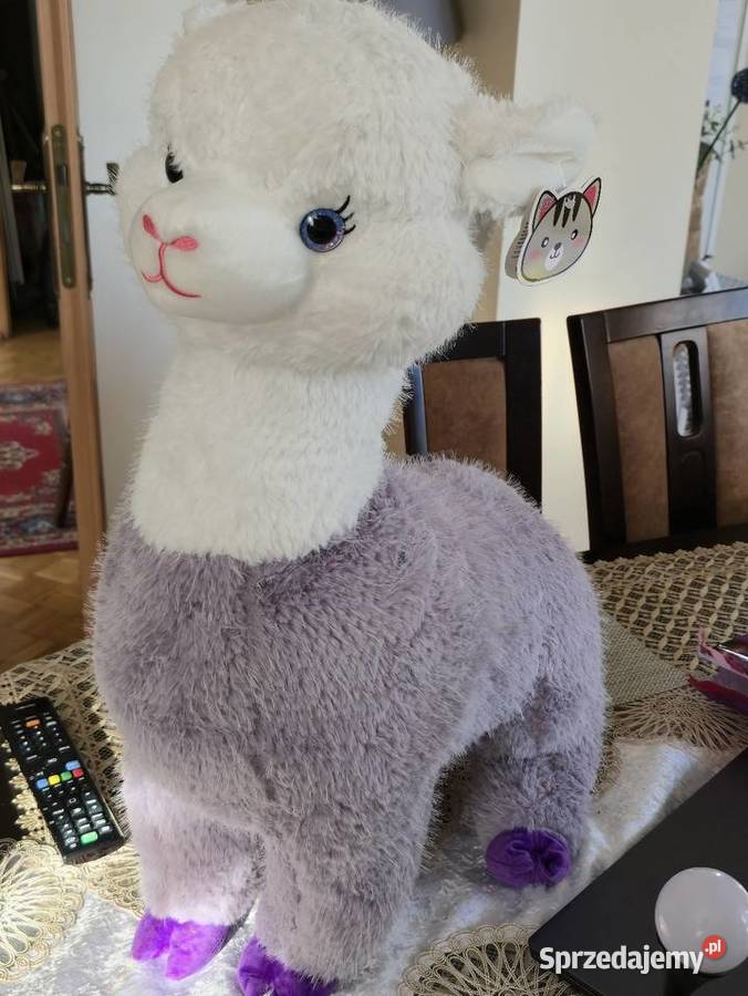 Pluszak alpaka lama Łomża