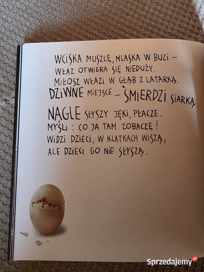 Nochal Czarodziej Agnieszka WolnyHamkało Antek małopolskie
