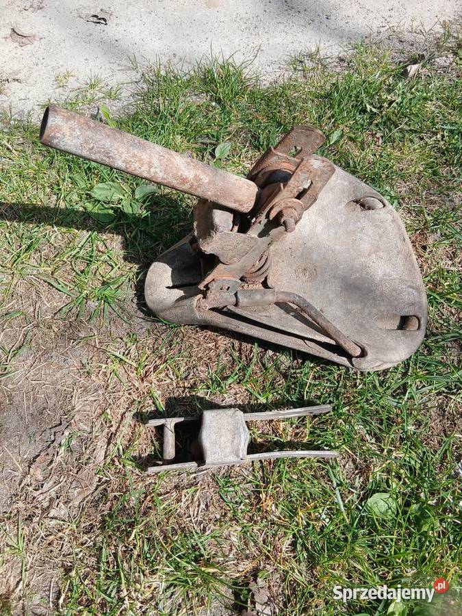komar sztywniak pedalowiec siedzenie małopolskie