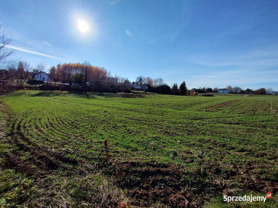 Działka 1436 metrów Snopków